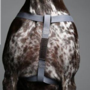 max-bone Lumi Harness and Leash